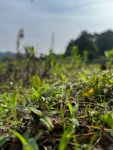 팜모닝 자유주제·자유게시판 게시글 이미지