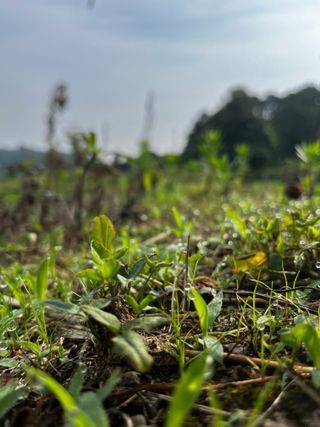 김건님의 자유주제 · 자유게시판 작성글 사진