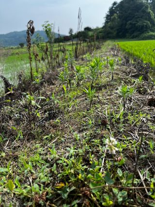 김건님의 자유주제 · 자유게시판 작성글 사진
