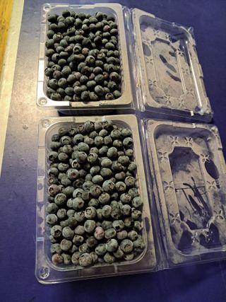 임기석님의 작성글 사진