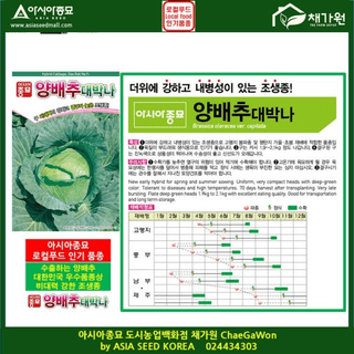 아시아종묘님의 자유주제 · 자유게시판 작성글 사진