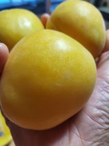 팜모닝 자유주제·사진전 게시글 이미지