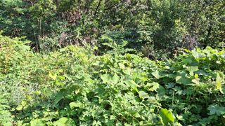 수기님의 자유주제 · 자유게시판 작성글 사진