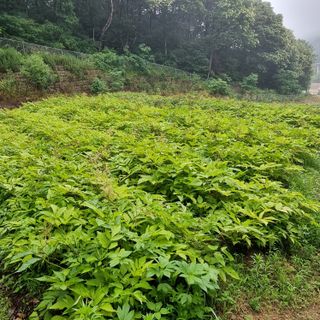 이종권님의 자유주제 · 자유게시판 작성글 사진