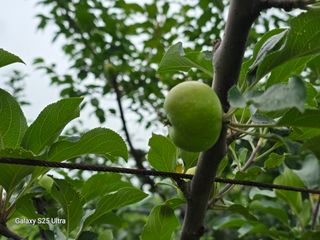 신병철님의 자유주제 · 건의해요 작성글 사진