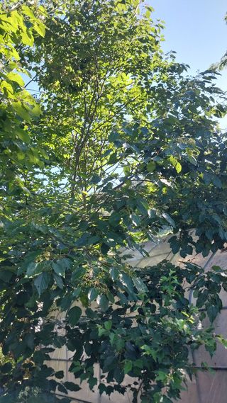 임병훈님의 자유주제 · 자유게시판 작성글 사진