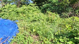 수기님의 자유주제 · 자유게시판 작성글 사진