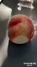 팜모닝 복숭아·자유게시판 게시글 이미지