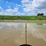 팜모닝 자유주제·자유게시판 게시글 이미지