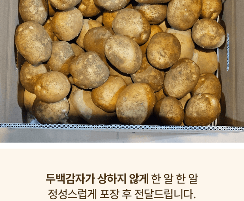 스피드번님의 장터 판매 상품 [두백감자] 첨부 사진