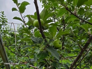 신병철님의 자유주제 · 건의해요 작성글 사진