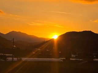 정광일님의 자유주제 · 자유게시판 작성글 사진