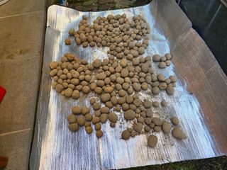 희상님의 자유주제 · 자유게시판 작성글 사진