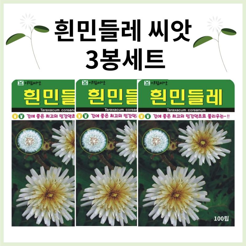장터 상품 [흰민들레씨앗 100립 * 3봉세트 / 하얀 민들레씨 종자] 썸네일
