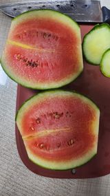 팜모닝 자유주제·자유게시판 게시글 이미지