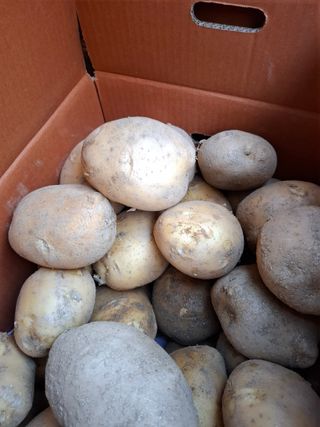 김광자님의 작성글 사진