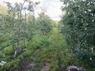 알 수 없음님의 자유주제 · 자유게시판 작성글 사진