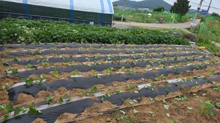 황규복(달구지)님의 자유주제 · 자유게시판 작성글 사진