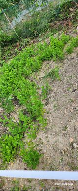 팜모닝 자유주제·자유게시판 게시글 이미지