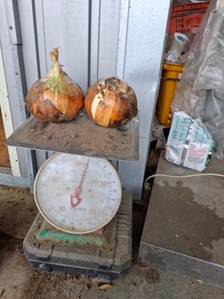 김광자님의 작성글 사진