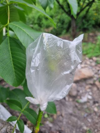 김용대님의 자유주제 · 자유게시판 작성글 사진