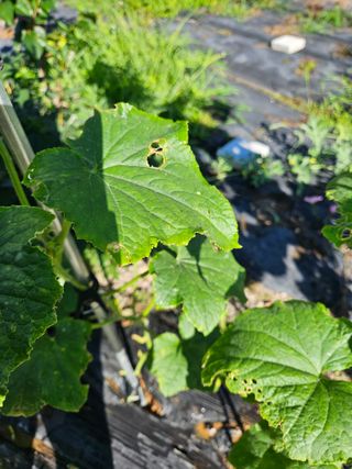 그린님의 자유주제 · 자유게시판 작성글 사진