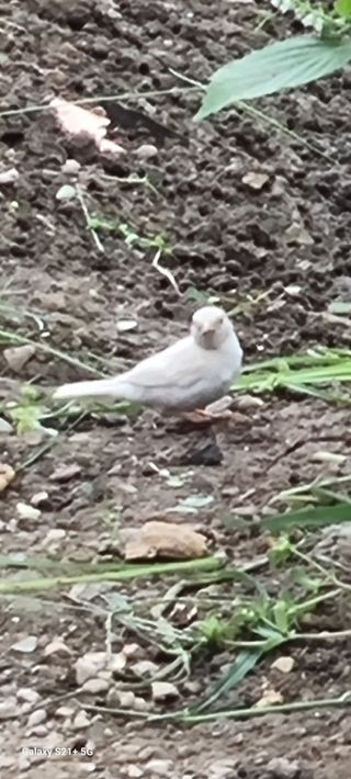 바다사탄님의 자유주제 · 자유게시판 작성글 사진