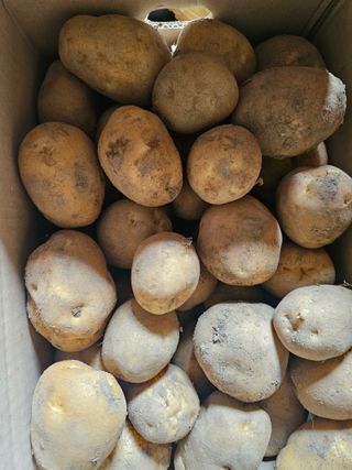 백용기님의 자유주제 · 자유게시판 작성글 사진