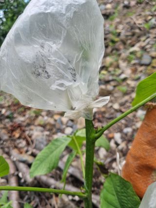 김용대님의 자유주제 · 자유게시판 작성글 사진