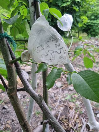 김용대님의 자유주제 · 자유게시판 작성글 사진