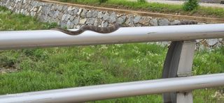 이종록님의 자유주제 · 자유게시판 작성글 사진