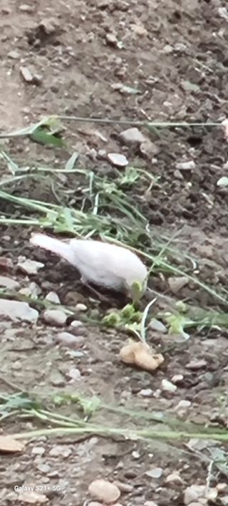 바다사탄님의 자유주제 · 자유게시판 작성글 사진