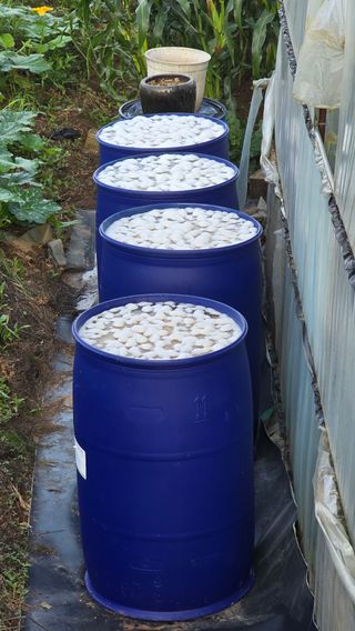 황규복(달구지)님의 자유주제 · 자유게시판 작성글 사진