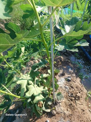 이창우님의 자유주제 · 자유게시판 작성글 사진