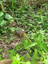 팜모닝 자유주제·자유게시판 게시글 이미지