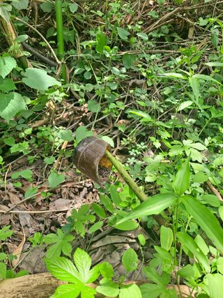 농촌사랑님의 자유주제 · 자유게시판 작성글 사진