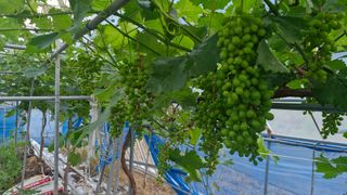 정석구님의 자유주제 · 자유게시판 작성글 사진