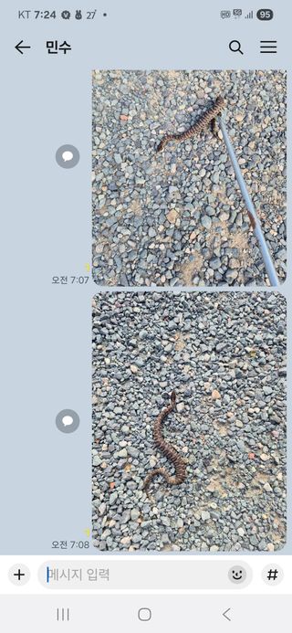 우리꽃님의 자유주제 · 자유게시판 작성글 사진