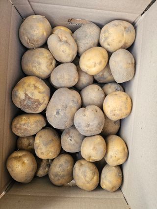 백용기님의 자유주제 · 자유게시판 작성글 사진