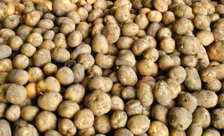 백용기님의 자유주제 · 자유게시판 작성글 사진