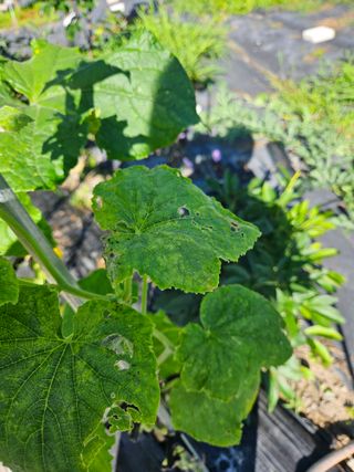 그린님의 자유주제 · 자유게시판 작성글 사진