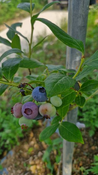 정석구님의 자유주제 · 자유게시판 작성글 사진