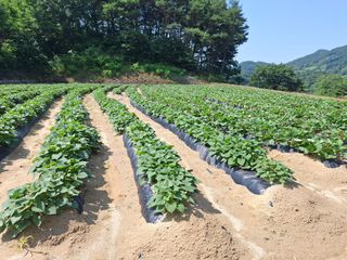 김광자님의 작성글 사진