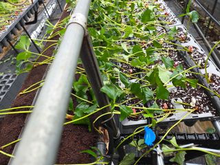 안성화님의 자유주제 · 자유게시판 작성글 사진