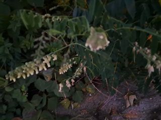 조명희님의 자유주제 · 자유게시판 작성글 사진