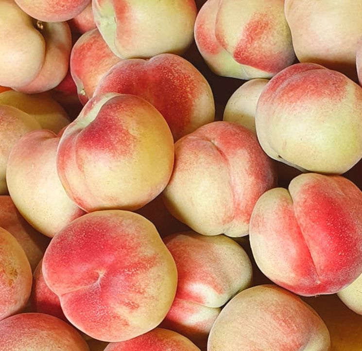 농부손녀님의 장터 판매 상품 [한국판 반납작 복숭아 - 대극천 딱복] 첨부 사진