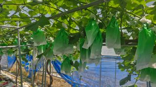 정석구님의 자유주제 · 자유게시판 작성글 사진