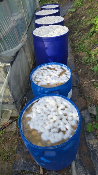 황규복(달구지)님의 자유주제 · 자유게시판 작성글 사진