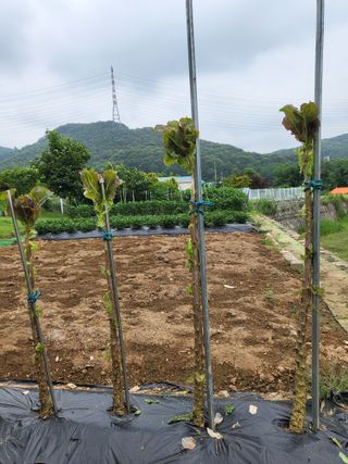 늘찬님의 자유주제 · 자유게시판 작성글 사진