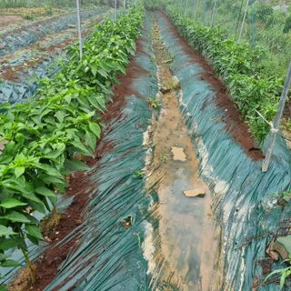 훈&팜님의 자유주제 · 자유게시판 작성글 사진